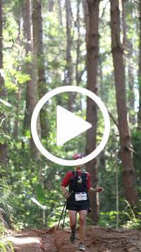 BIB:  <button type="button" onclick="openModal(26569565)" class="btn btn-primary btn-sm float-right" data-toggle="modal" data-target=".modal-high-quality">
                <i class="fa fa-download"></i> Download
                </button>